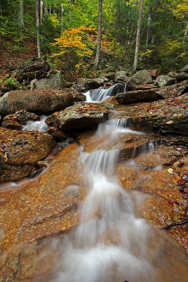 Fall Foliage at Cascade Brook Photograph by Juergen Roth