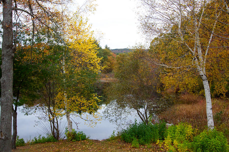 Fall Foliage at Houghtons Pond Photograph by Brian MacLean