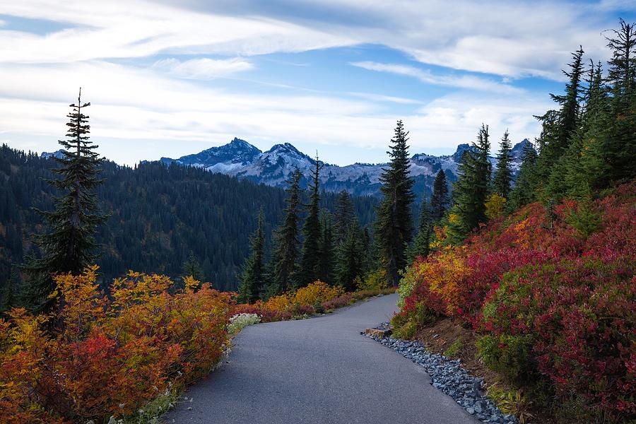 Fall foliage at Mount Rainier Photograph by Lynn Hopwood