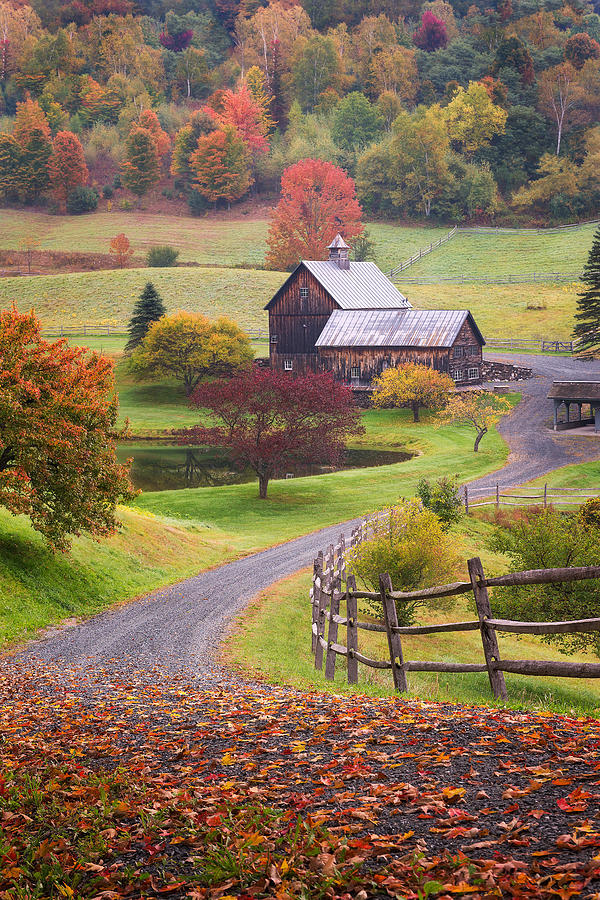 Fall Foliage At Sleepy Hollow Farm Photograph by Jeff Bazinet - Fine ...