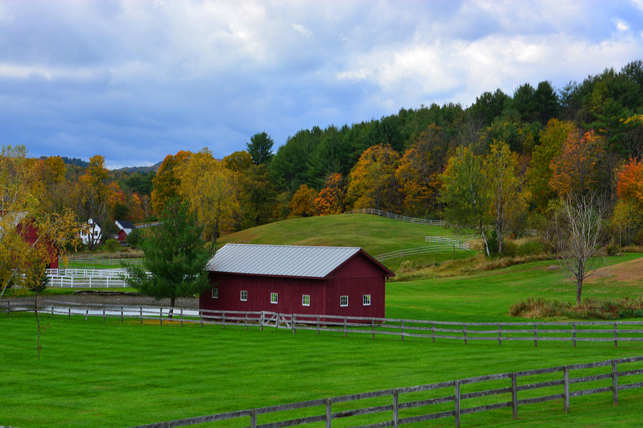Fall Foliage Fields and Fences at Farm Photograph by Mike Martin