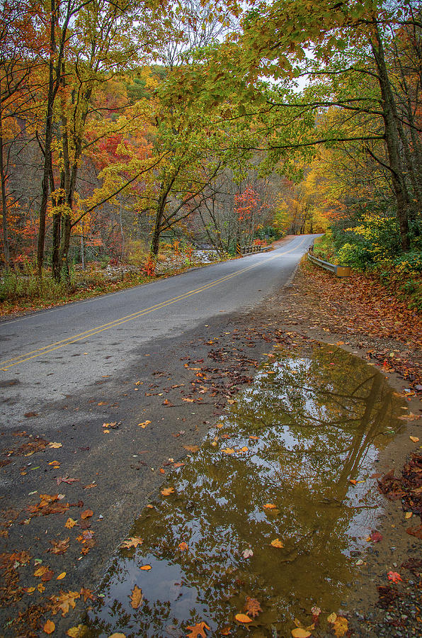 Fall Foliage in North Carolina Photograph by Ina Kratzsch Fine Art