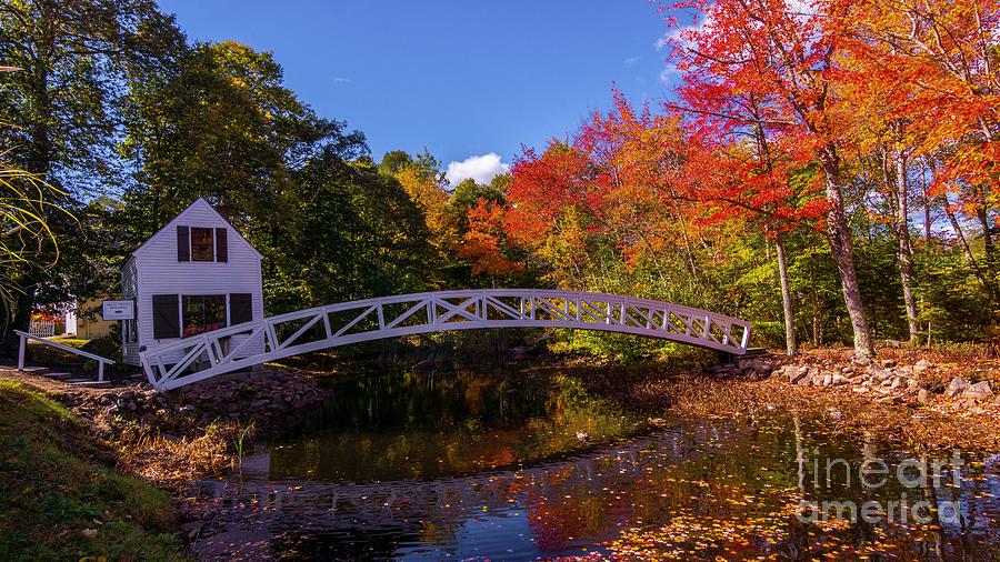 Fall foliage in Somesville, Maine. Photograph by New England Photography