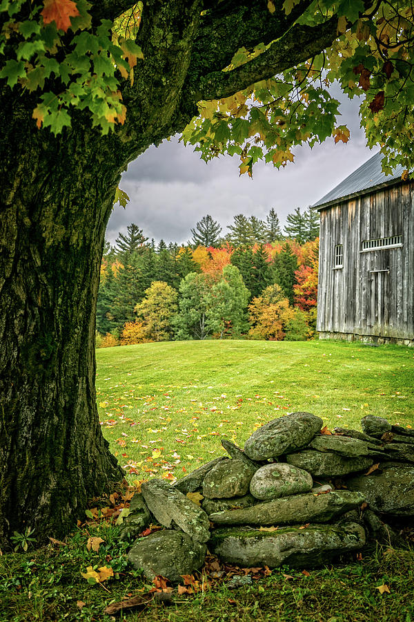 Fall foliage in Southern Vermont Photograph by Steven Upton