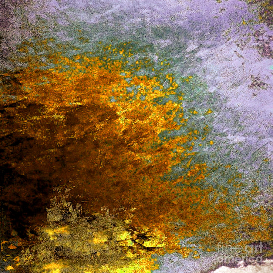 Fall Foliage Digital Art by John Krakora