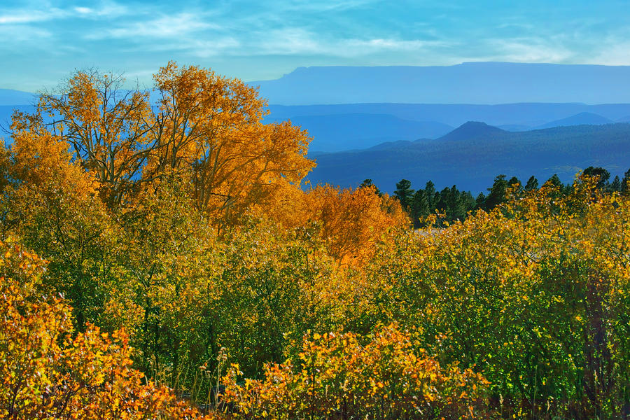 Fall Foliage - Mountain Vista Photograph by Nikolyn McAspens - Fall FoliageDonald