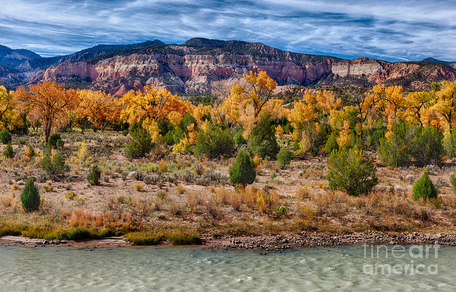 Fall foliage near Ghost Ranch Photograph by Matt Suess
