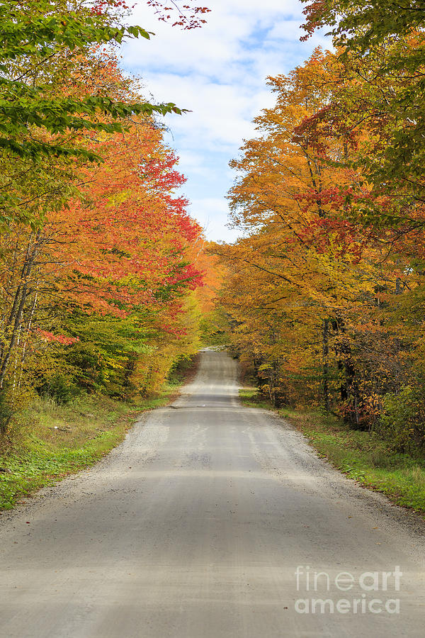 Fall Foliage on the back roads of Vermont Photograph by Edward Fielding