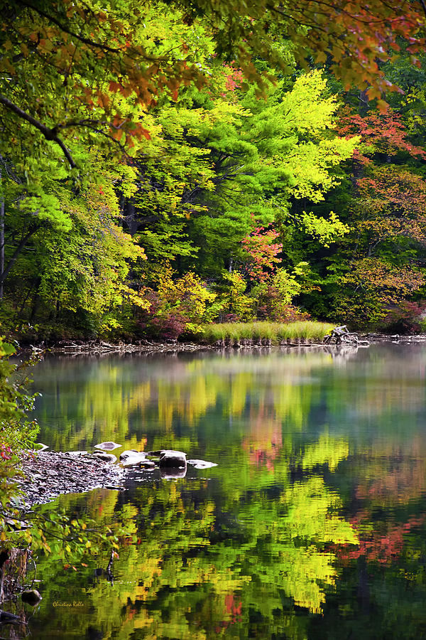 Fall Foliage Reflection Photograph by Christina Rollo