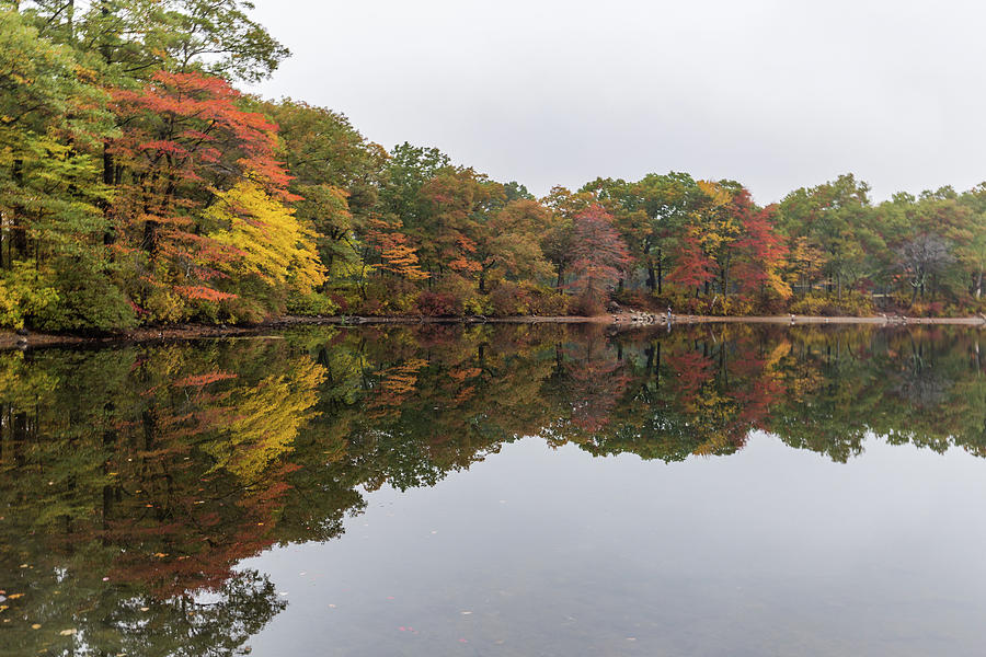 Fall Foliage Reflections Photograph by Brian MacLean