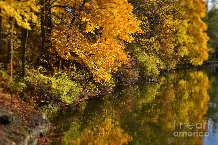 Fall Foliage Reflections Falls Park Pond Photograph by Amy Lucid