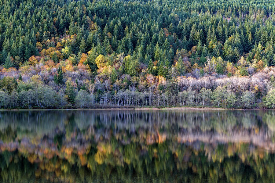 Fall Foliage Reflections on Deer Lake Photograph by Michael Russell