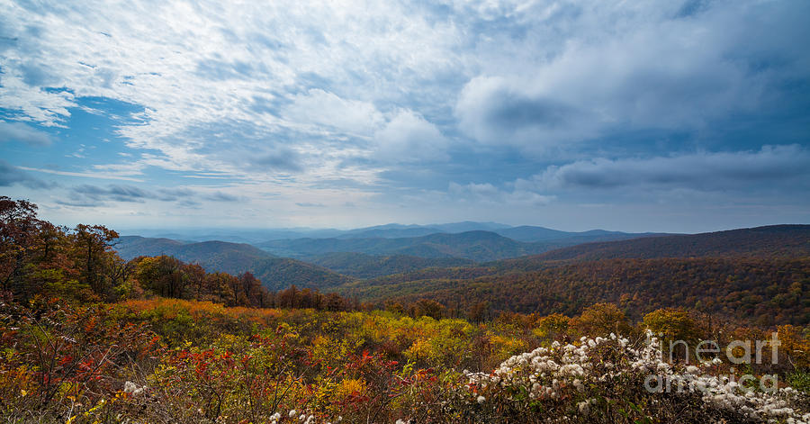 Fall Foliage Skyline Drive Virginia  Photograph by Michael Ver Sprill