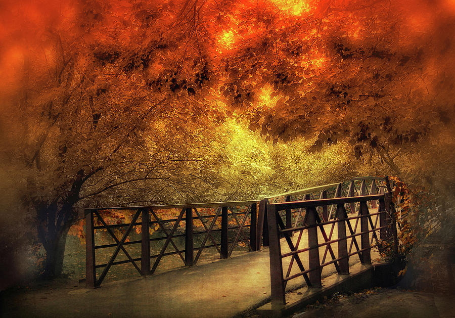 Fall Footbridge Photograph by Jessica Jenney