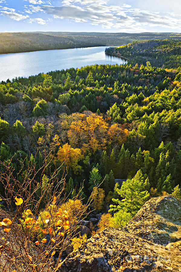 Fall forest and lake top view Photograph by Elena Elisseeva