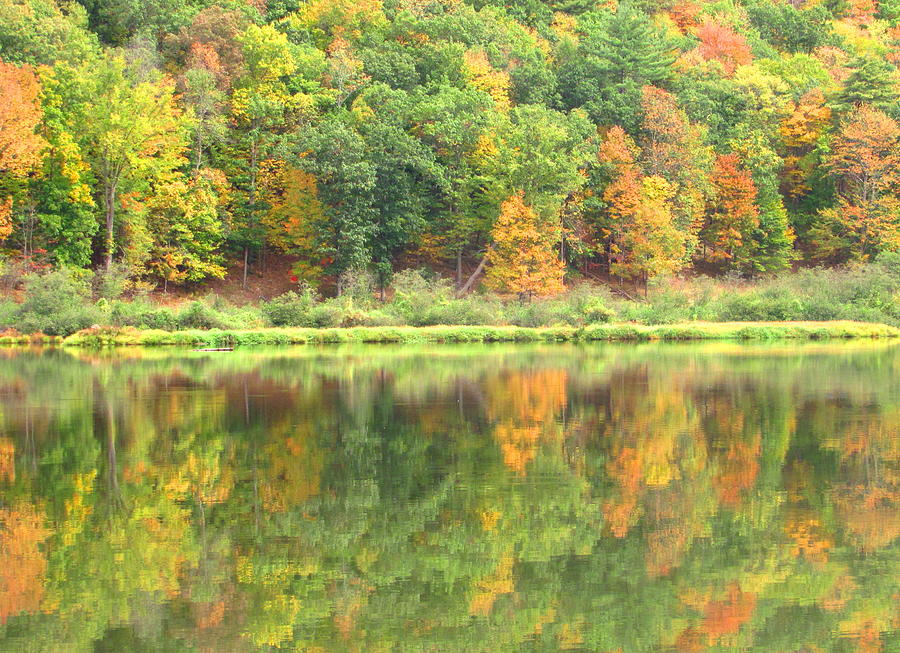Fall Forest Reflection Photograph by Joshua Bales