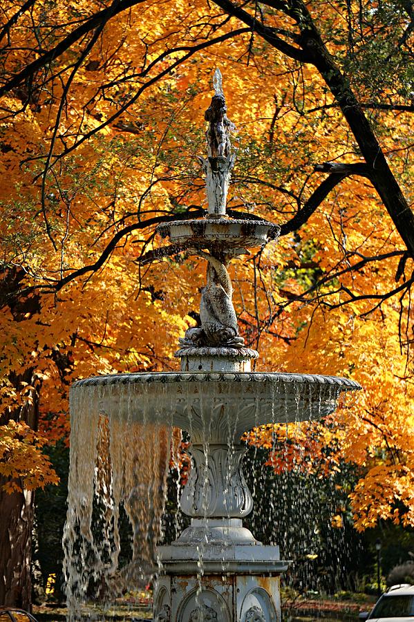 Fall Fountain Colors Photograph by Martin Morehead - Fine Art America