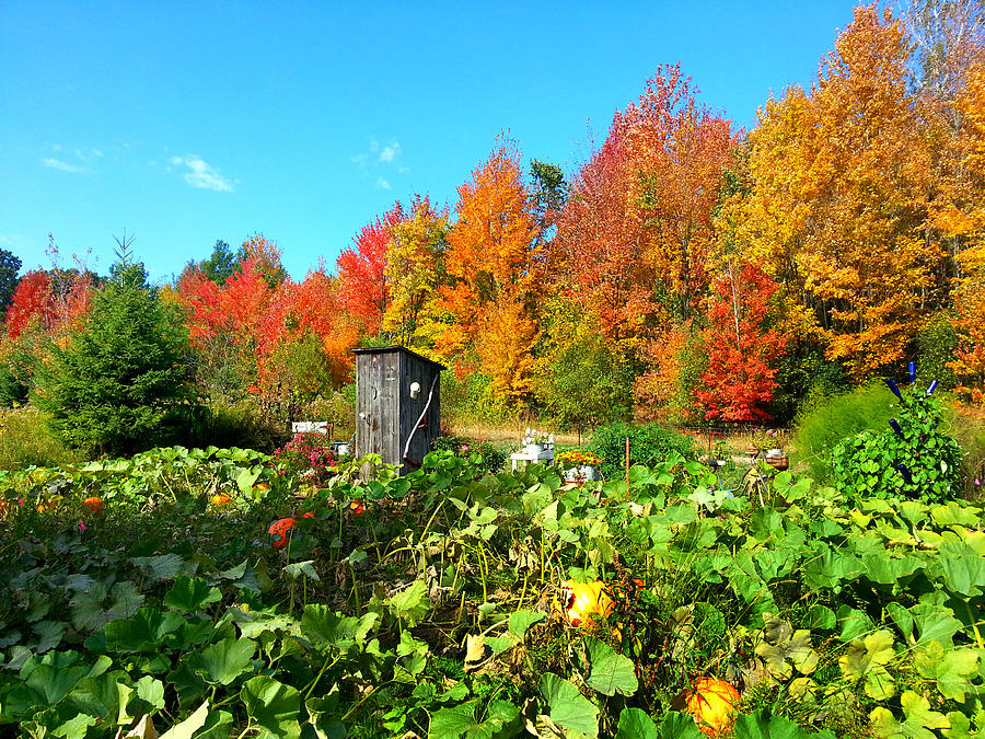 Fall Garden Photograph by Brook Burling