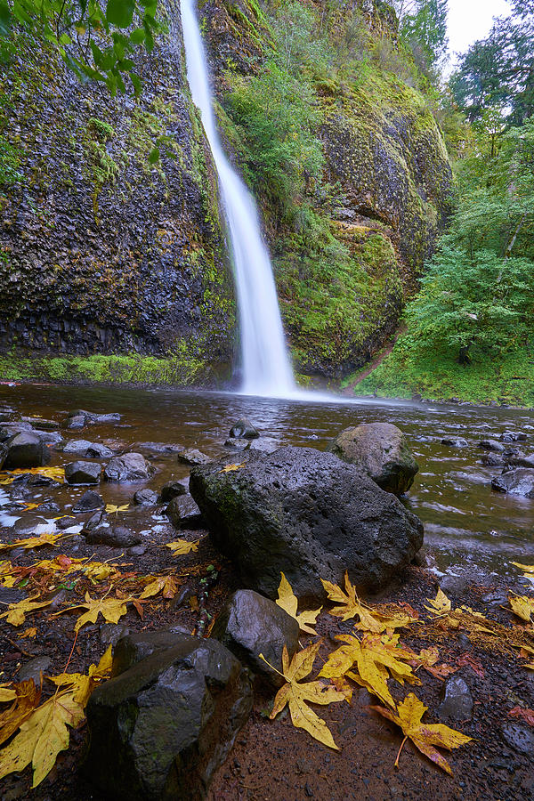 Fall Gorge Photograph by Jonathan Davison