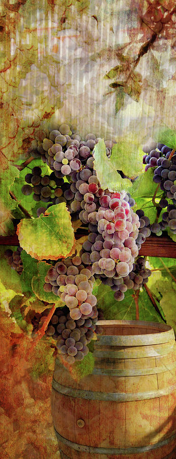 Fall Grape Harvest and Wine Barrel Photograph by Sherrie Triest