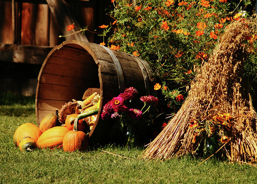 Fall Harvest Photograph by Cheryl Day