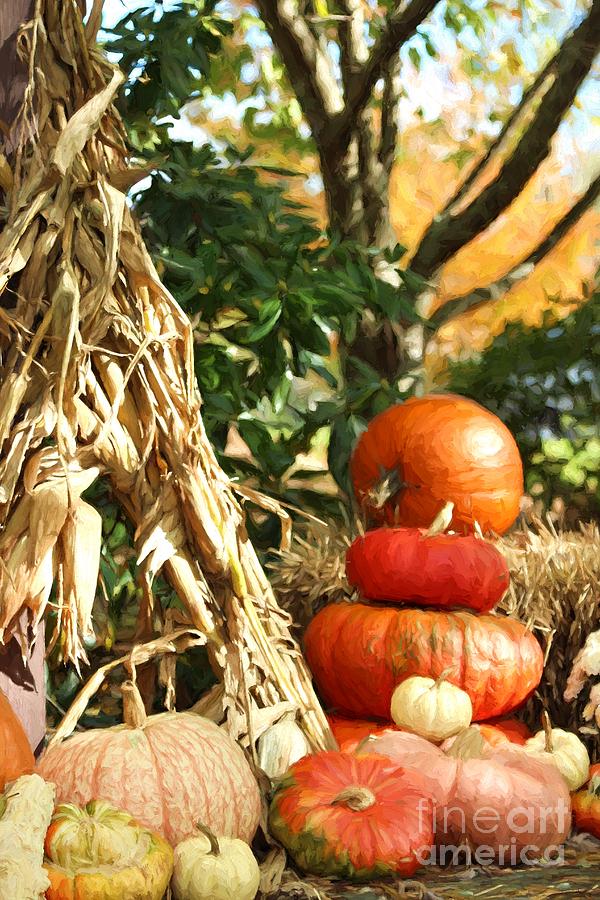 Fall Harvest Display Photograph by Benanne Stiens