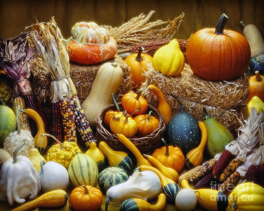 Fall Harvest Photograph by Martin Konopacki