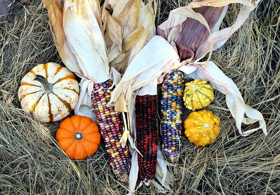 Fall Harvest on Hay Photograph by Sheila Brown