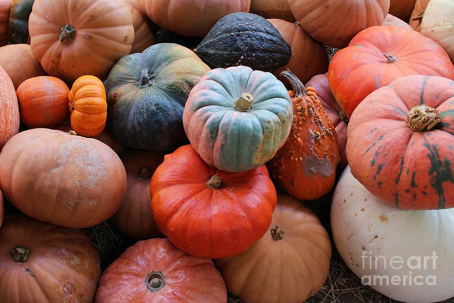 Fall Harvest Photograph by Robert Wilder Jr