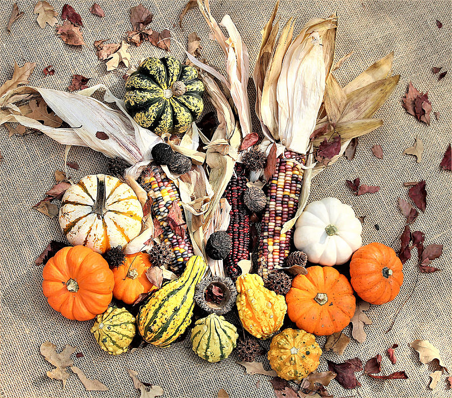 Fall Harvest Photograph by Sheila Brown