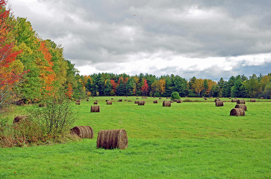 Fall Hay Bales Photograph by Glenn Gordon