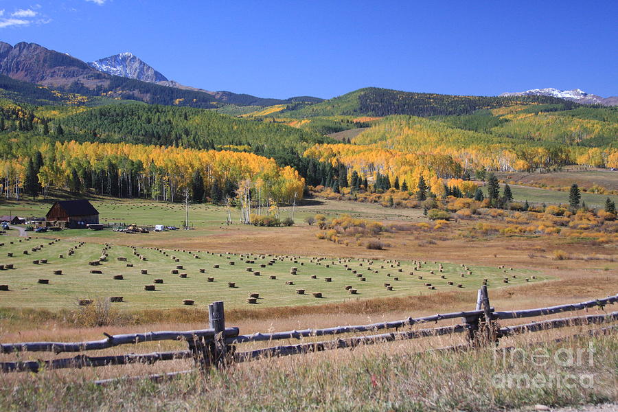 Hay Bales Photograph by John Suhr - Fine Art America