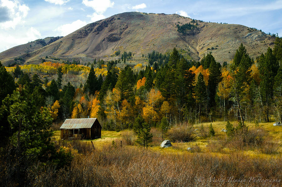 Fall Heaven Photograph by Misty Tienken