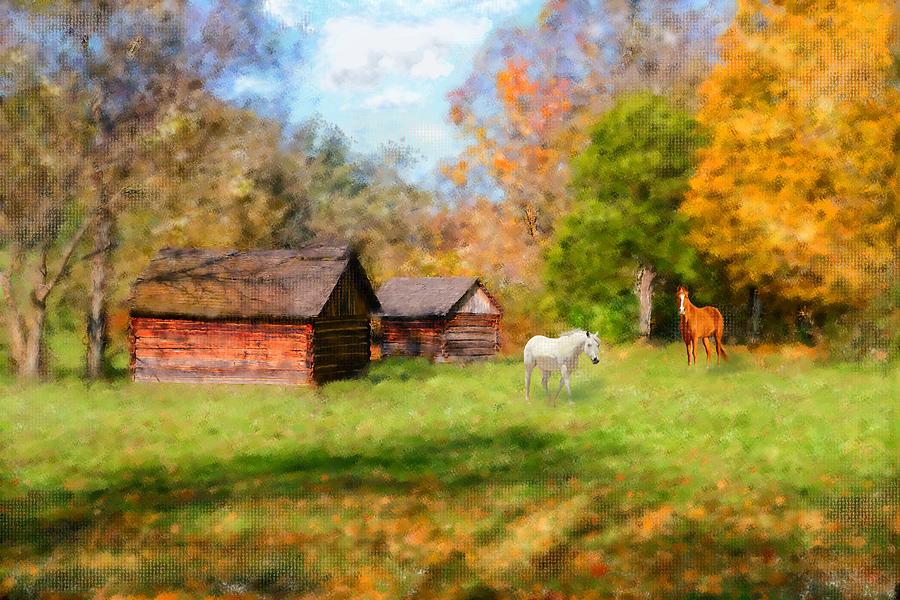 Fall Horses Photograph by Mary Timman