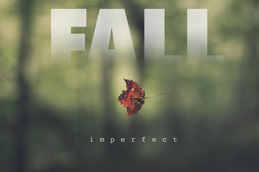 Fall Imperfect Photograph by Shane Holsclaw