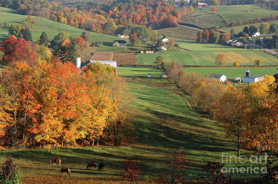 Fall in Amish Country 5799 Photograph by Jack Schultz