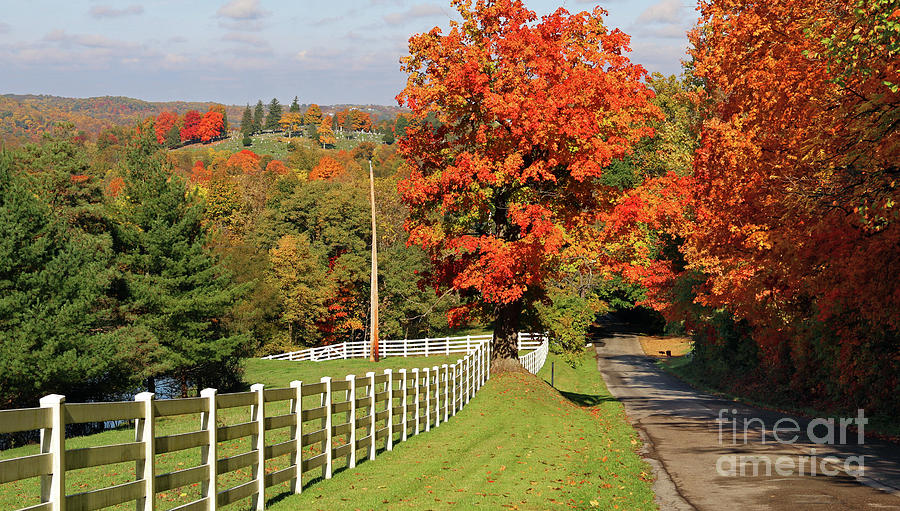 Fall in Amish Country 5841 Photograph by Jack Schultz