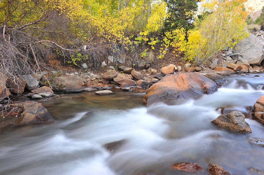 Fall in Bishop Creek Photograph by Dung Ma