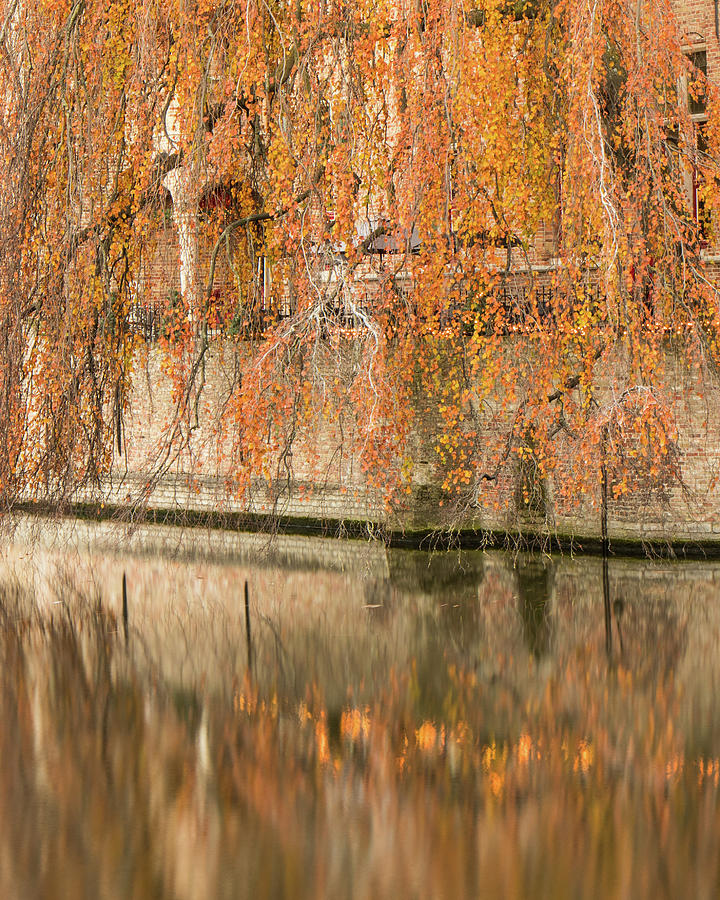 Fall Photograph - Fall in Bruges, Belgium by Dalibor Hanzal Fall Photograph - Fall in Bruges, Belgium by Dalibor Hanzal