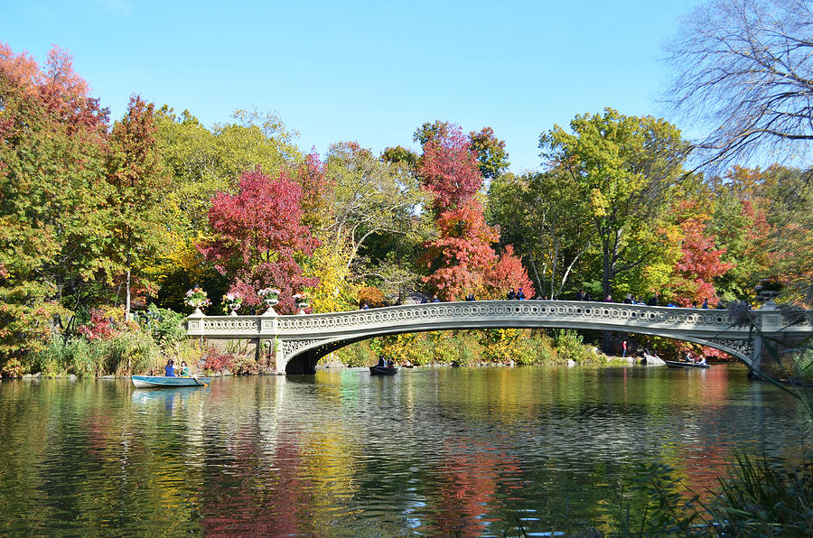 Fall in Central Park Photograph by Laura Lecce - Fine Art America