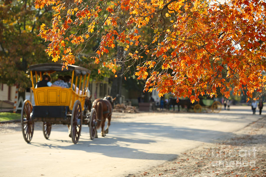 Fall in Colonial Williamsburg Photograph by Rachel Morrison