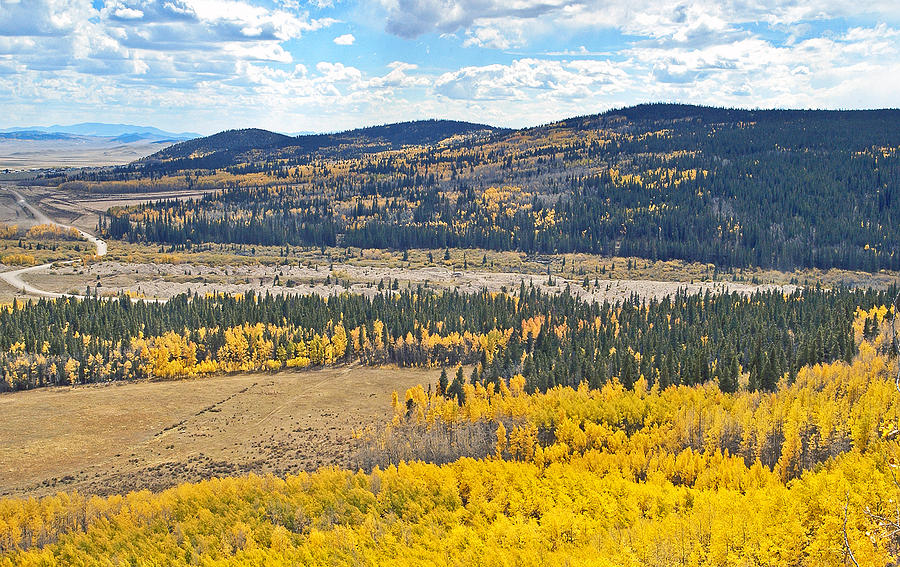 Fall In Colorado Photograph by James Steele