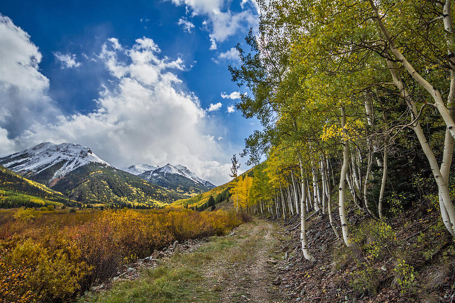 Fall in Colorado Photograph by Wesley Aston