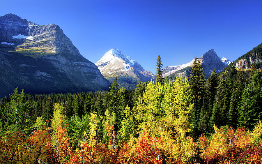 Fall in Glacier National Park Photograph by Carolyn Derstine