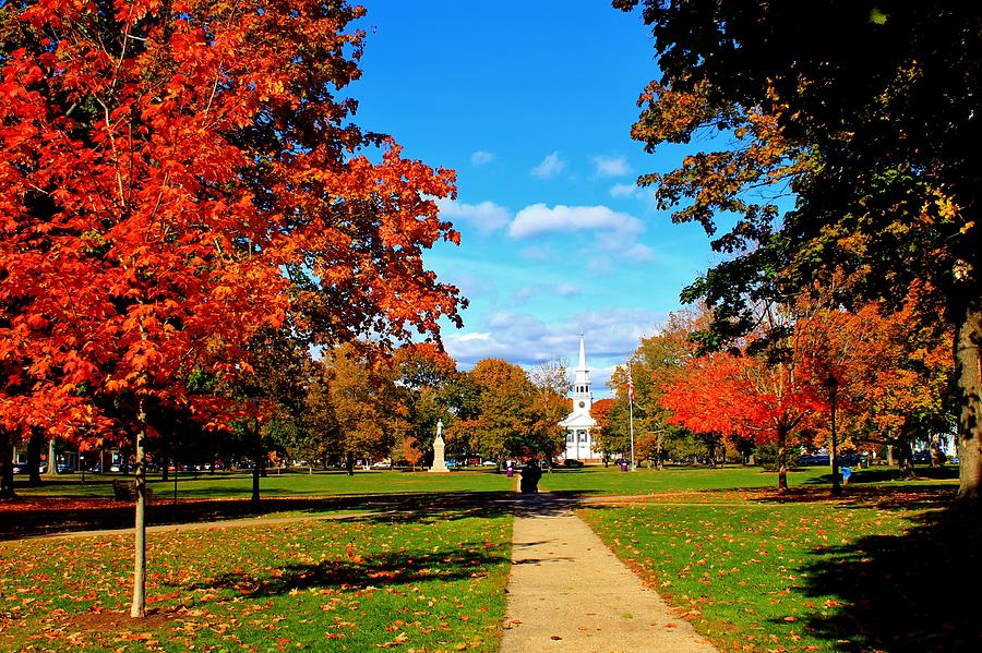 Fall in Guilford Photograph by Catie Canetti