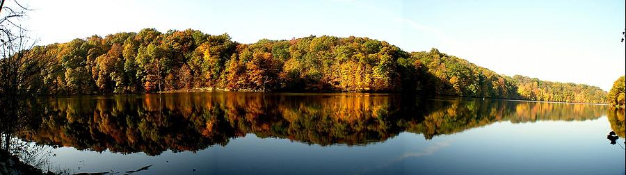 Fall in Indiana Photograph by Carol Milisen