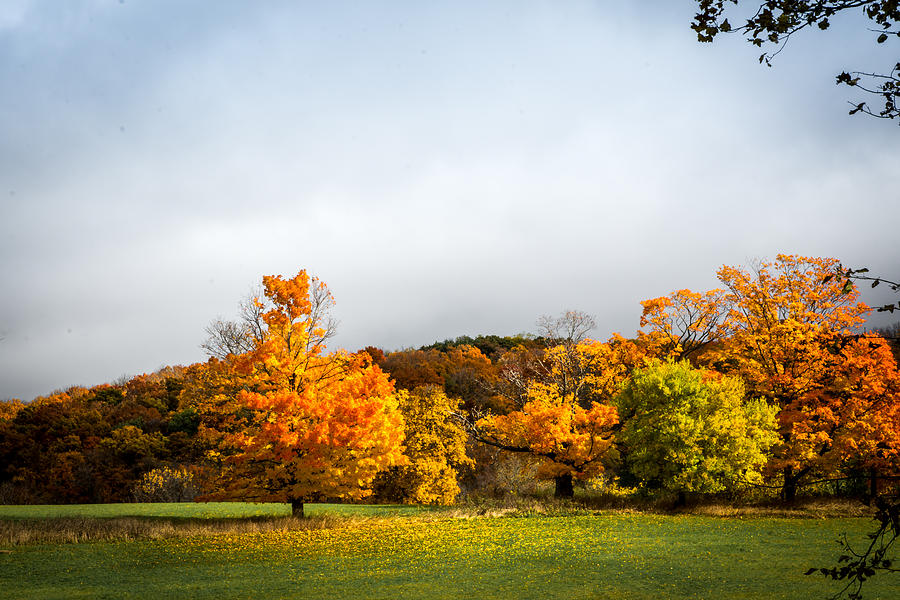 Fall in Lake Geneva Photograph by Laimis Urbonas