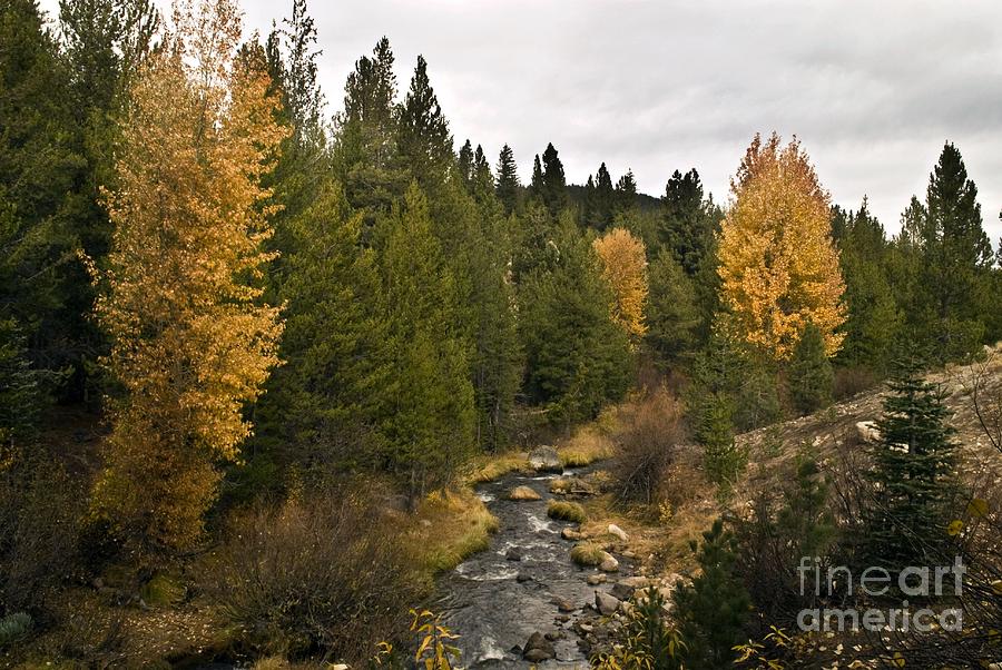 Fall in Lassen Photograph by Richard Verkuyl