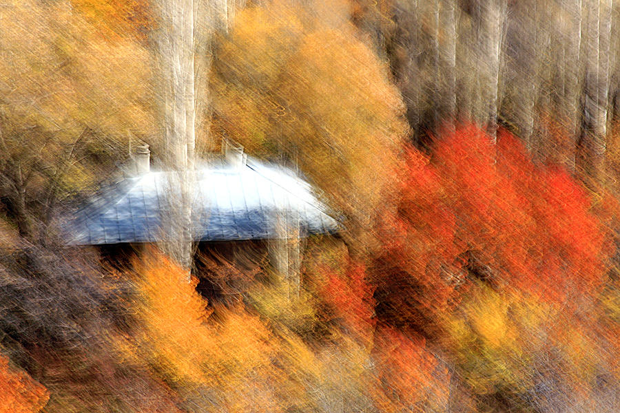 Cottage Photograph - Fall In Love by Robert Shahbazi