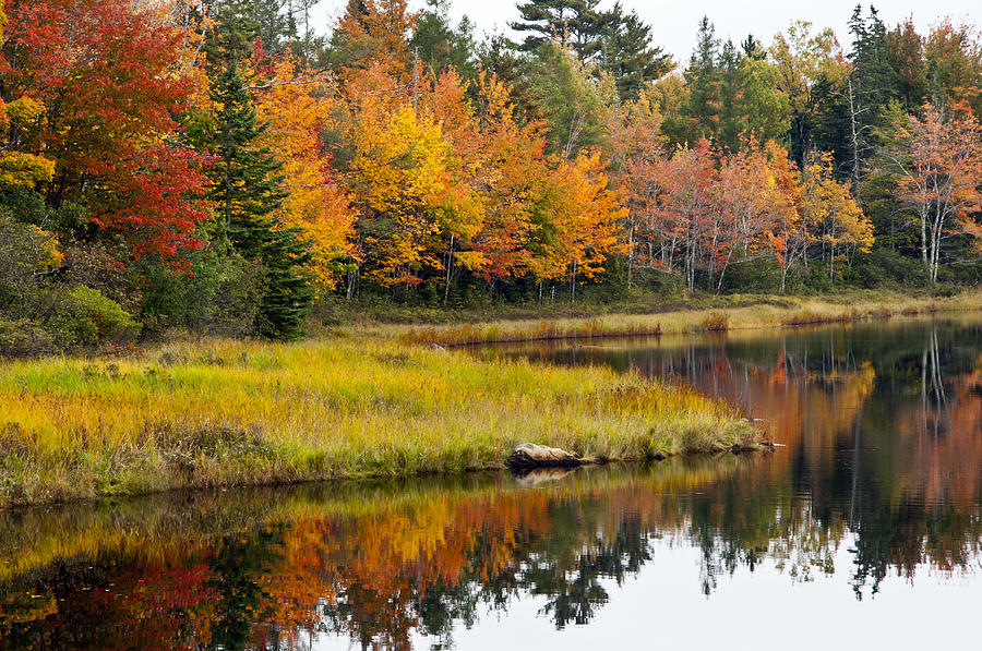 Maine Fall Photograph by Glenn Gordon